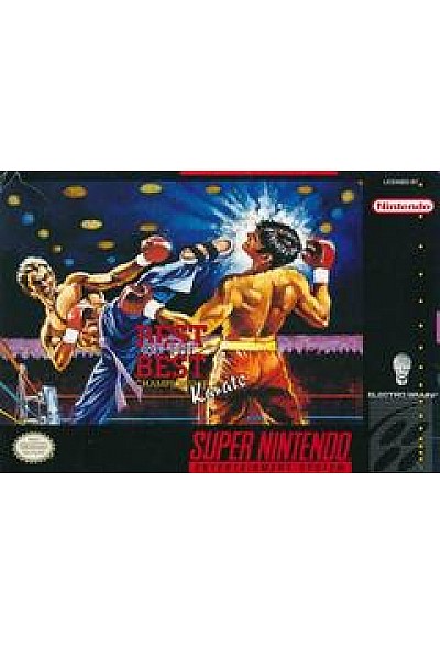 Best Of The Best Championship Karate/SNES