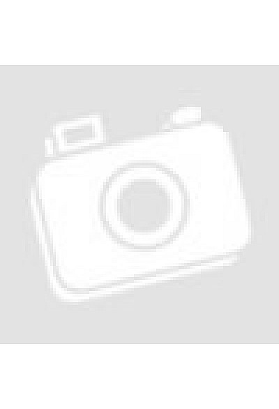 Silpheed The Lost Planet/PS2