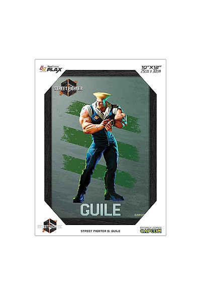 Cadre Lenticulaire 3D Plax Street Fighter 6 Par Pixel Frames - Guile 25 x 30 CM
