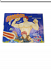 Livret NES-M5-USA Amagon NES