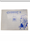 Livret NES-2U-USA Gauntlet II NES