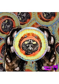 Autocollant Miaou-gnifique Par Cats Of Chaos - Marshadow Le Diable (Brilliant) 