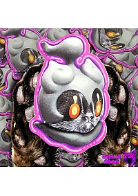 Autocollant Miaou-gnifique Par Cats Of Chaos - Marshadow Le Chat En Marshadow Le Pokemon