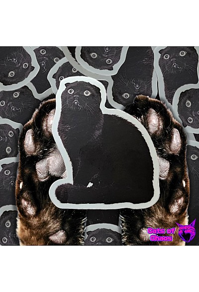 Autocollant Miaou-gnifique Par Cats Of Chaos - Marshadow Le Chat Noir