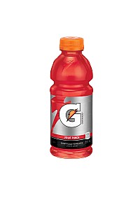 Bouteille Gatorade 591ml - Fruit Punch