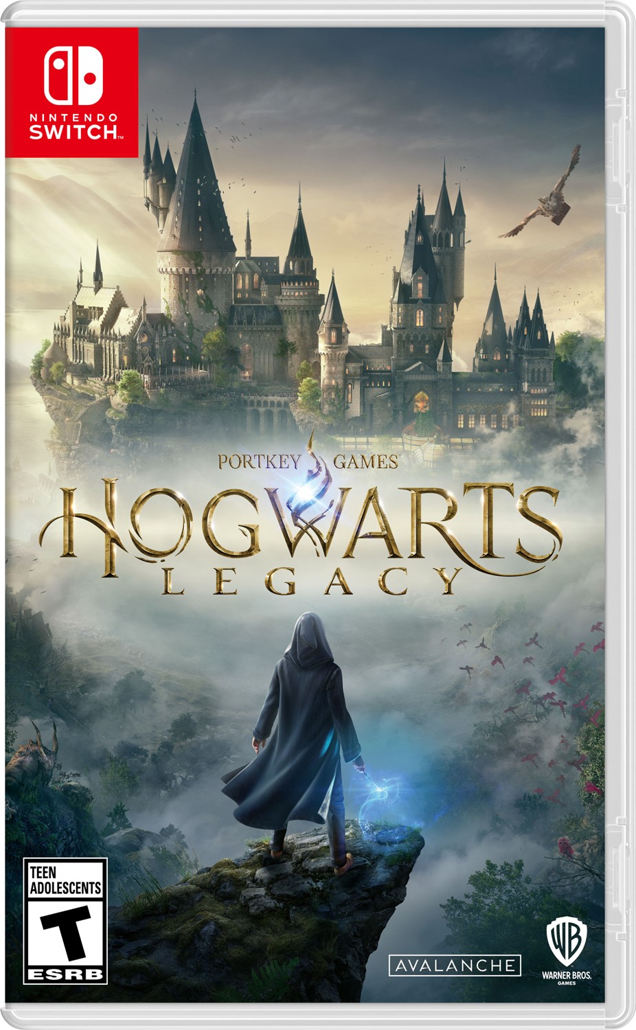 Hogwarts Legacy/Switch