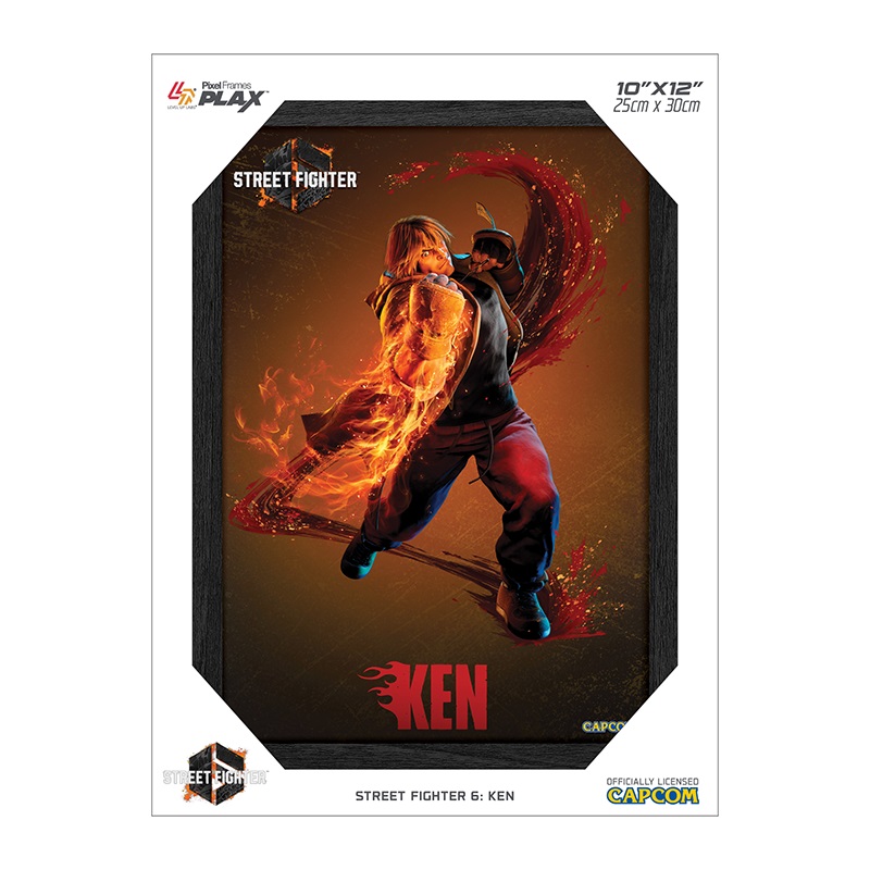 Cadre Lenticulaire 3D Plax Street Fighter 6 Par Pixel Frames - Ken 25 x 30 CM