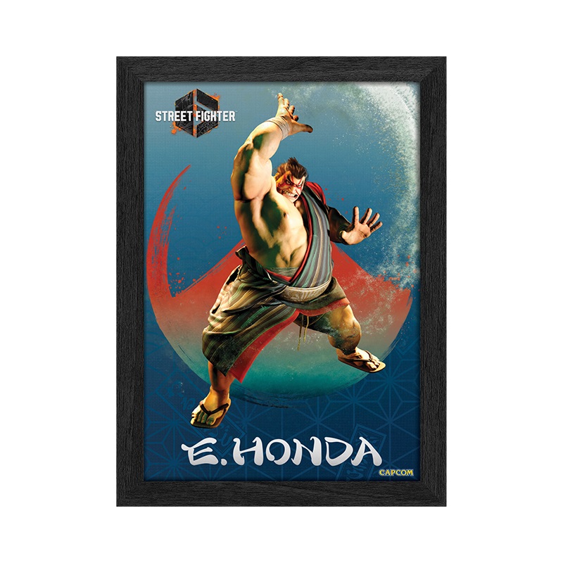 Cadre Lenticulaire 3D Plax Street Fighter 6 Par Pixel Frames - E. Honda 25 x 30 CM
