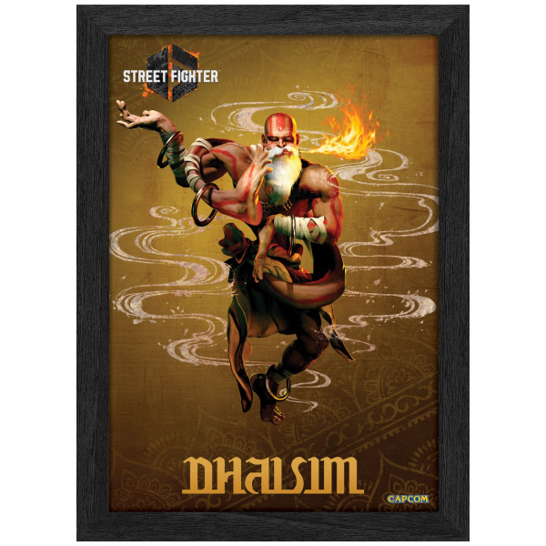 Cadre Lenticulaire 3D Plax Street Fighter 6 Par Pixel Frames - Dhalsim 25 x 30 CM